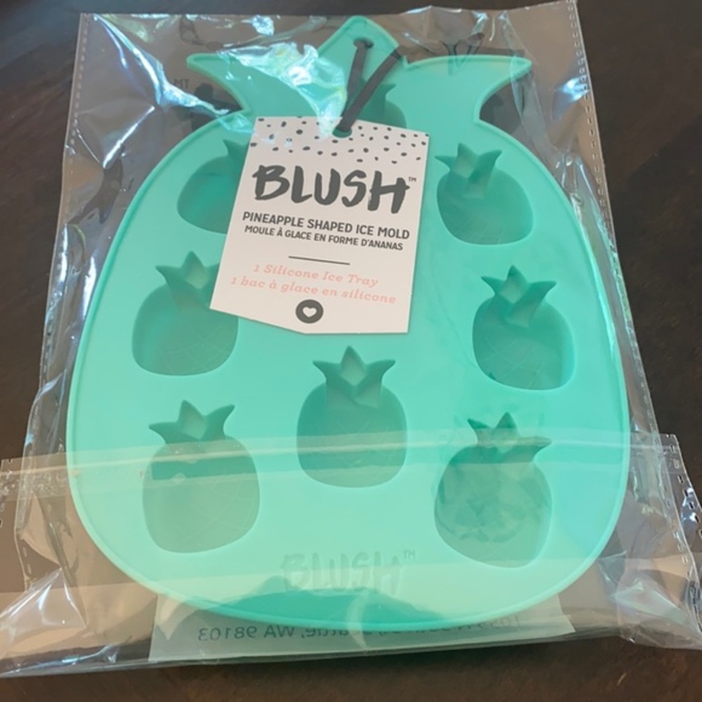 Blush Pineapple shaped ice mold - nwt